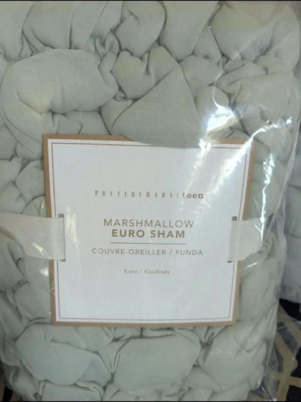 Pottery Barn Teen Marshmallow Jersey Euro Sham‎ Sage Color